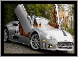 Drzewa, Spyker C8 Aileron, Plac